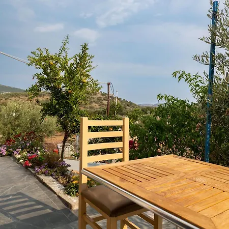 Disha Holiday Home