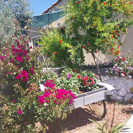 Disha Holiday Home Apartment Ksamil