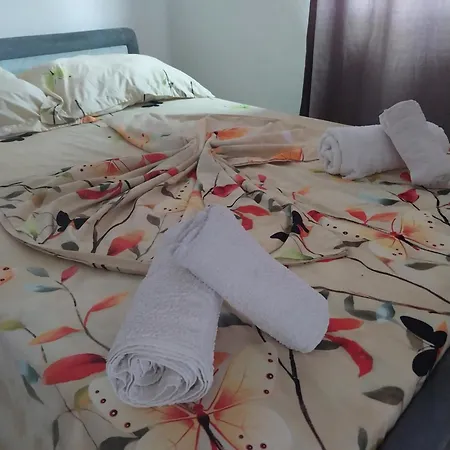 Disha Holiday Home Apartment *