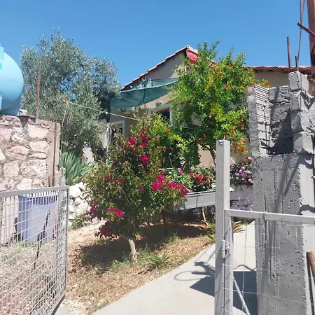 Apartment Disha Holiday Home