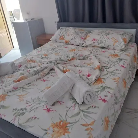 Apartment Disha Holiday Home *