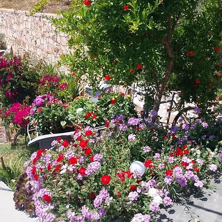 Disha Holiday Home *
