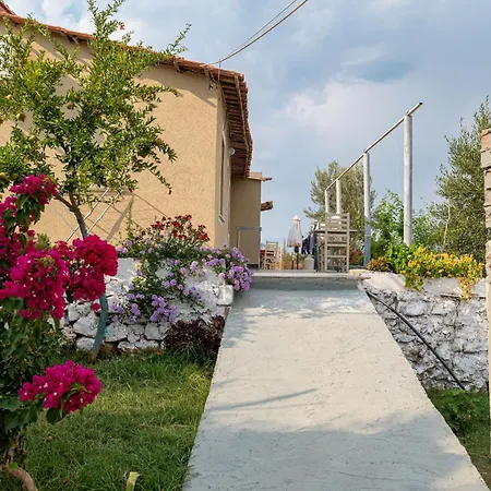 Apartament Disha