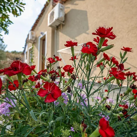 Apartament Disha *
