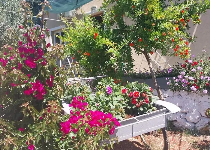 Disha Apartman Ksamil